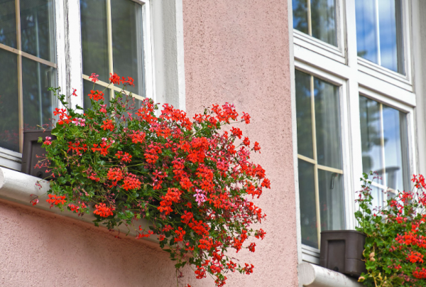 Jendela gantung dengan bunga menggantung